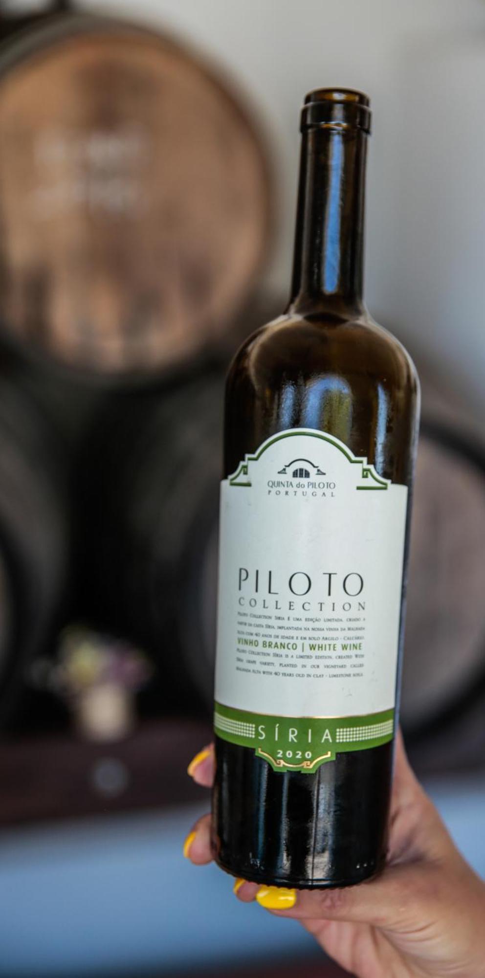 Quinta Do Piloto Konuk evi Palmela Dış mekan fotoğraf
