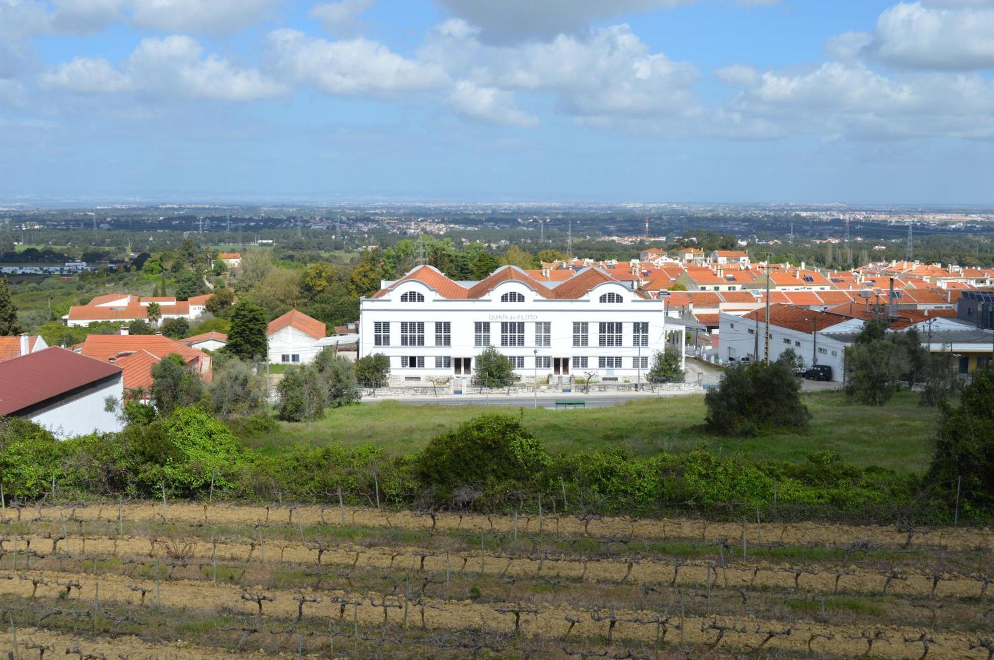 Quinta Do Piloto Konuk evi Palmela Dış mekan fotoğraf
