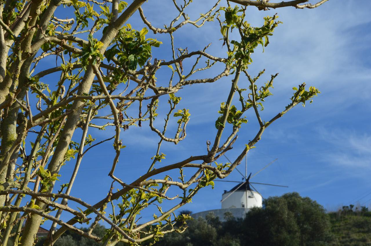 Quinta Do Piloto Konuk evi Palmela Dış mekan fotoğraf